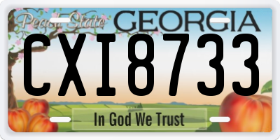 GA license plate CXI8733