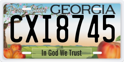 GA license plate CXI8745