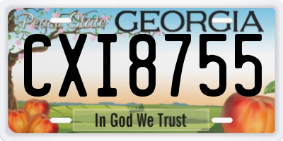 GA license plate CXI8755