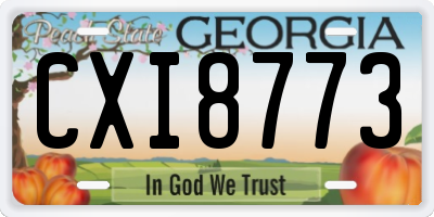 GA license plate CXI8773