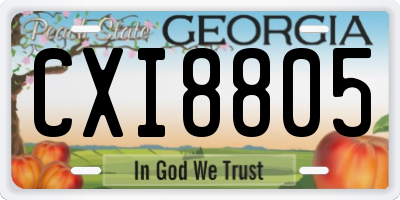 GA license plate CXI8805