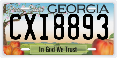 GA license plate CXI8893