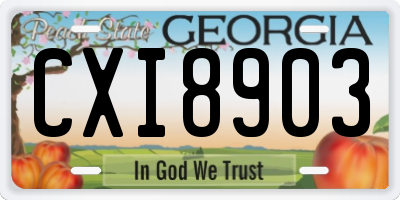 GA license plate CXI8903