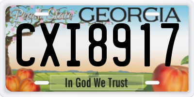 GA license plate CXI8917