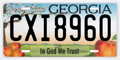 GA license plate CXI8960