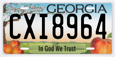 GA license plate CXI8964
