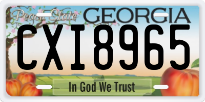 GA license plate CXI8965