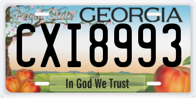 GA license plate CXI8993