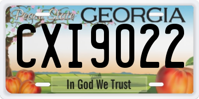 GA license plate CXI9022