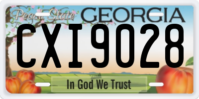 GA license plate CXI9028