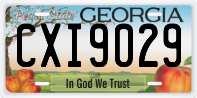 GA license plate CXI9029