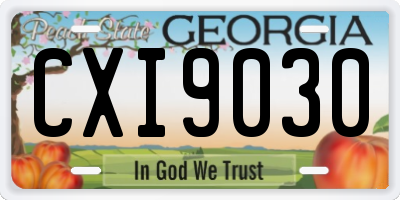 GA license plate CXI9030