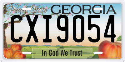 GA license plate CXI9054