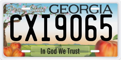 GA license plate CXI9065