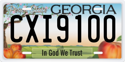 GA license plate CXI9100