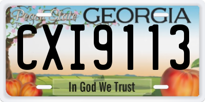 GA license plate CXI9113