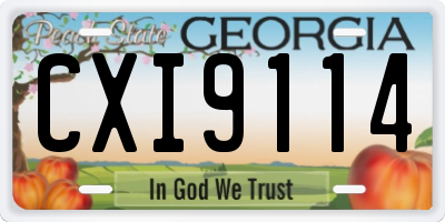 GA license plate CXI9114