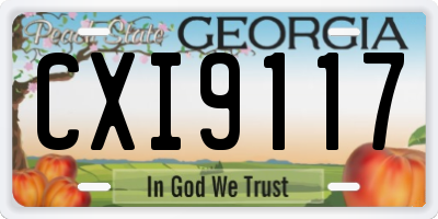 GA license plate CXI9117