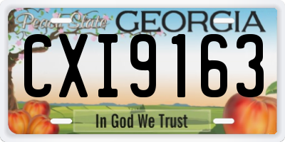 GA license plate CXI9163