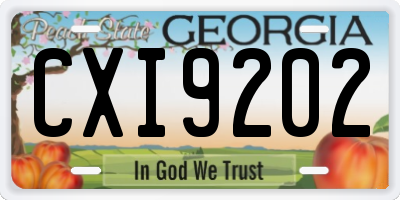 GA license plate CXI9202