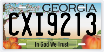 GA license plate CXI9213