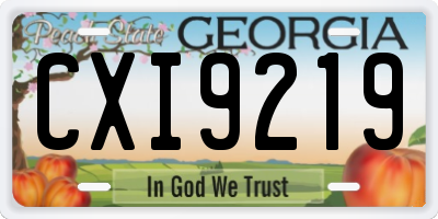 GA license plate CXI9219