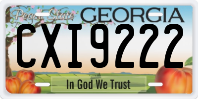 GA license plate CXI9222