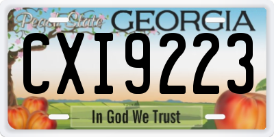 GA license plate CXI9223
