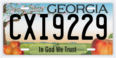GA license plate CXI9229