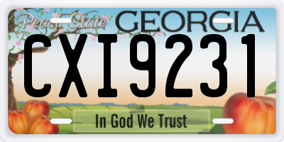 GA license plate CXI9231