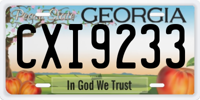 GA license plate CXI9233