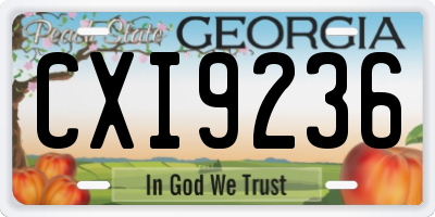 GA license plate CXI9236