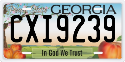 GA license plate CXI9239