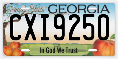 GA license plate CXI9250