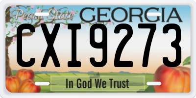 GA license plate CXI9273