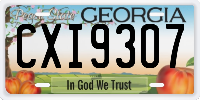GA license plate CXI9307