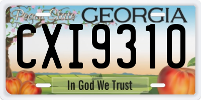 GA license plate CXI9310