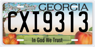 GA license plate CXI9313