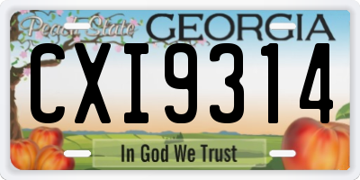 GA license plate CXI9314