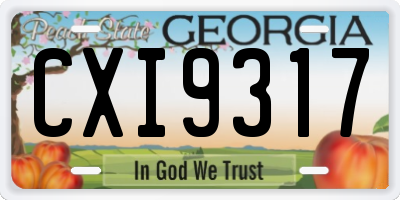 GA license plate CXI9317