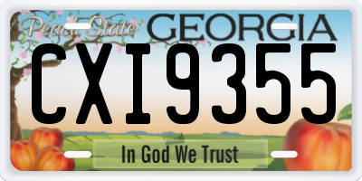 GA license plate CXI9355