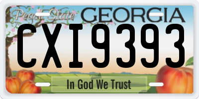 GA license plate CXI9393