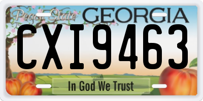 GA license plate CXI9463
