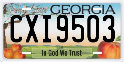 GA license plate CXI9503