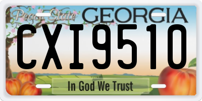 GA license plate CXI9510