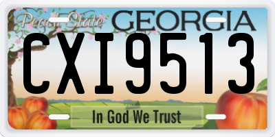 GA license plate CXI9513