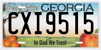 GA license plate CXI9515