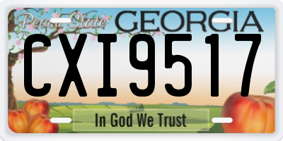 GA license plate CXI9517