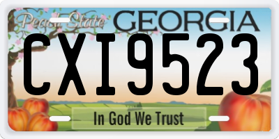 GA license plate CXI9523