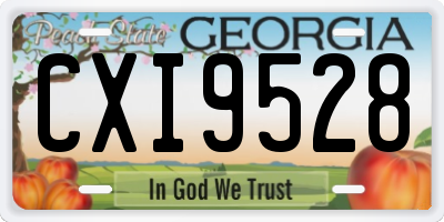 GA license plate CXI9528